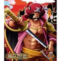 ONE PIECE ワンピース 20THシーズン ワノ国編 PIECE.19