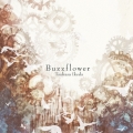 Buzzflower