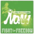 PRO-WRESTLING NOAH FIGHT for FREEDOM
