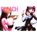 BLEACH [死神代行消失篇4]