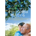 オリーブの樹は呼んでいる