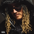 ディスティニー