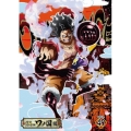 ONE PIECE ワンピース 20THシーズン ワノ国編 PIECE.49