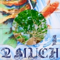 2 MUCH [CD+ビジュアルブック+トレーディングカード]＜完全生産限定盤＞