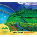 SOUL SEEDS