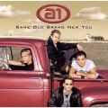 SAME OLD BRAND NEW YOU