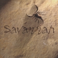 サヴァンナ