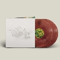 Dragon New Warm Mountain I Believe in You<Recycle Double Color Vinyl/数量限定盤>