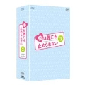愛は誰にも止められない DVD-BOX3