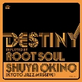 DESTINY replayed by ROOT SOUL<完全限定盤>