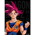 ドラゴンボールZ 神と神 特別限定版<初回生産特別限定版>