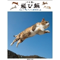 飛び猫 2018 カレンダー