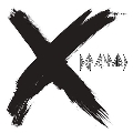 X (Standard Vinyl)