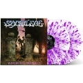 Within The Prophecy<Clear & Purple Splatter Vinyl/限定盤>