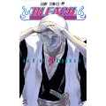 BLEACH -ブリーチ- 20