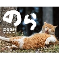 2025猫カレンダー のら