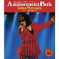 1991 Concert Tour Amusement Park