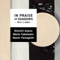 IN PRAISE OF SHADOWS