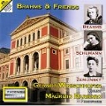 Brahms & Friends - Zemlinsky, Schumann, Brahms - Works for Violin & Piano