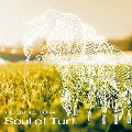 Soul of Turf