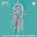 Expansions (45 Edit) / Everybody Loves The Sunshine