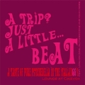 A Trip? Just A Little...Beat : A Psychedelic Journey Into The Soundtracks of The 60's