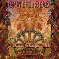 Grateful Dead / 2014 Calendar (Aquarius)