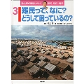 池上彰の基礎からわかる! 国民・移民・難民 (3) 難民って、なに? どうして困っているの?