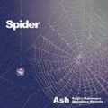 spider [CD+DVD]