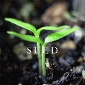 SEED