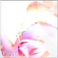 Virgin [CD+DVD]<完全限定盤>