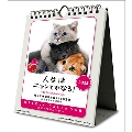 人生はニャンとかなる! 卓上/壁掛 カレンダー 2025