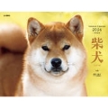 カレンダー2026 柴犬