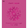 Flowers & Powerlight Tour 2011