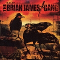 BRIAN JAMES GANG