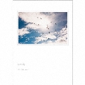 birds fly [CD+Blu-ray Disc]<初回限定盤>