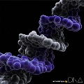 DNA [CD+Blu-ray Disc]