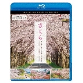 さくら 春を彩る 華やかな桜のある風景 4K撮影作品