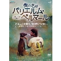 僕の名はパリエルム・ペルマール