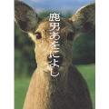 鹿男あをによし DVD-BOX ディレクターズカット完全版(6枚組)