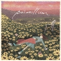 pointillism [CD+DVD]