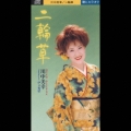 川中美幸