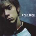Free Bird