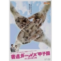 ズームイン!!から生まれた感動リアルストーリー 書道ガールズ甲子園 汗と涙の舞台裏