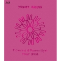 Flowers & Powerlight Tour 2011