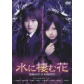 水に棲む花 ～ROMANCE OF DARKNESS～