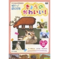 きょうのかわいい! チャーミングな動物大集合