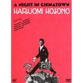 細野晴臣 A Night in Chinatown