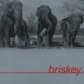 ブリスキー