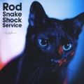 Rod Snake Shock Service